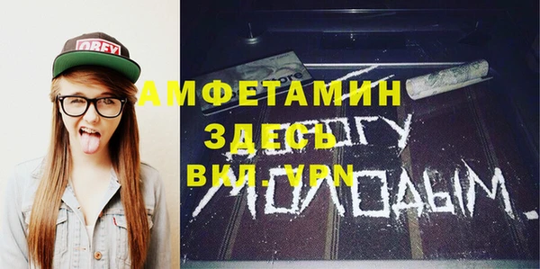 гидра Алексеевка