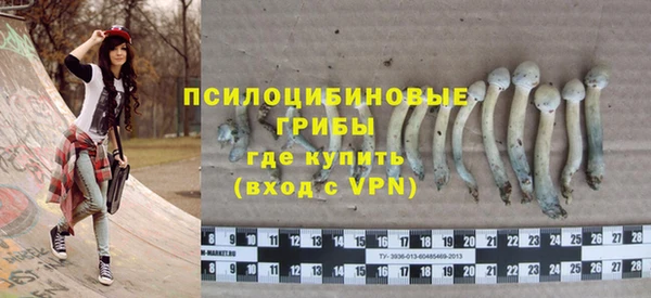 гидра Алексеевка