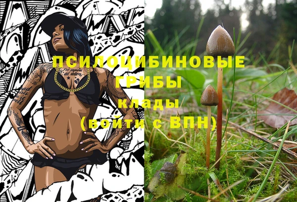 гидра Алексеевка