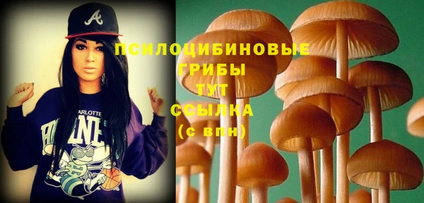 гидра Алексеевка