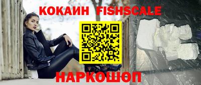 крисы Коммунар