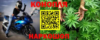 крисы Коммунар