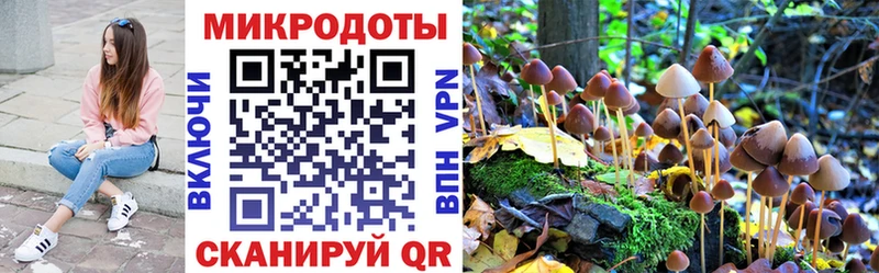 Псилоцибиновые грибы GOLDEN TEACHER  kraken ССЫЛКА  Кириши 